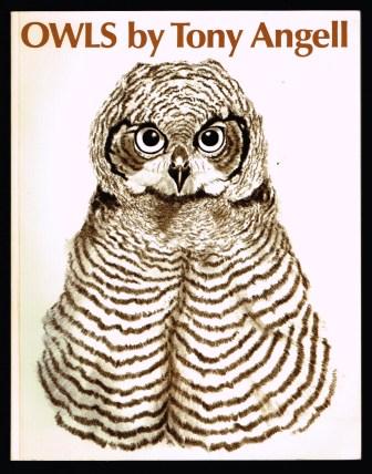 Image for Owls
